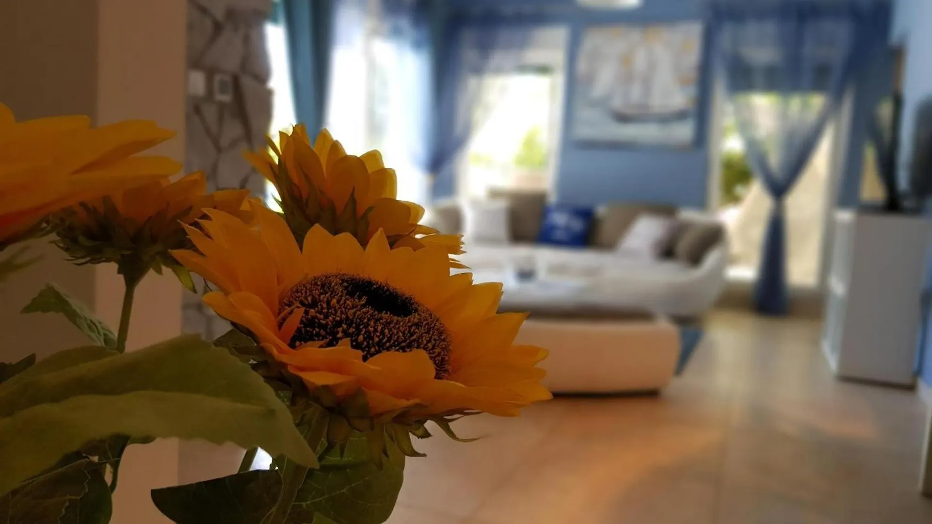 Appartamento After All Wohnung Mit Pool In Mandre, Pag Croazia